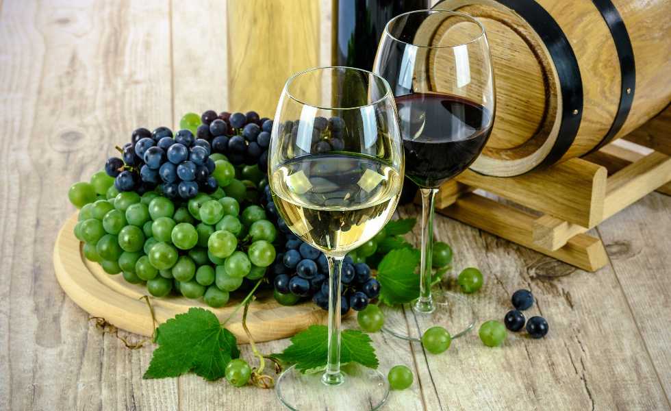  Los 3 mejores vinos recomendados para este 2021Subtítulo