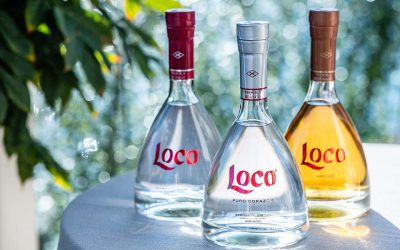  Los 6 factores que definen a un tequila de lujoSubtítulo