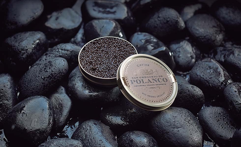  Oro negro, caviar latinoSubtítulo