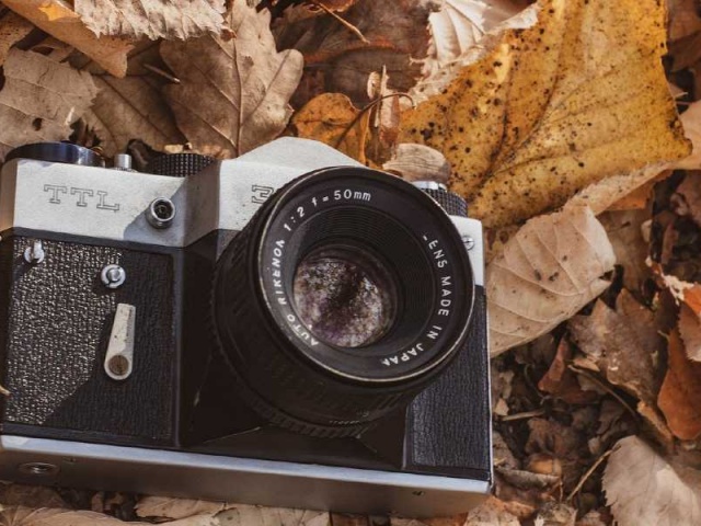 Las 8 mejores cámaras de fotografía en el mercado