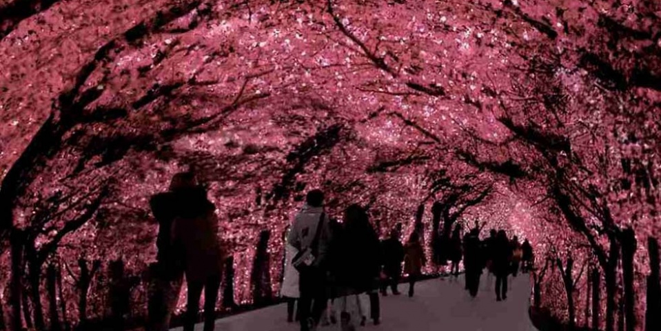 Lights of Japan 2022: Enamórate de Japón